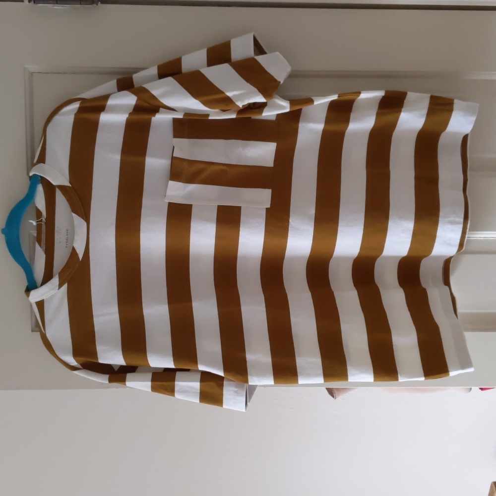 Everlane oversized t-shirt (Everyone Relaxed in Canvas Tan)